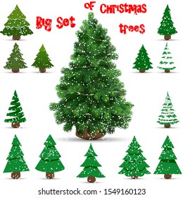 Big set of Christmas trees on a white background. Can be used for printed materials - leaflets, posters, business cards or for web.
