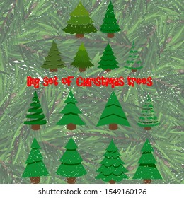 Big set of Christmas trees on a white background. Can be used for printed materials - leaflets, posters, business cards or for web.