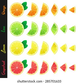 Big set of citrus slices of orange, lemon, lime and grapefruit. Isolated design elements