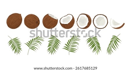 Big set with coconuts and palm leaves hand drawn.