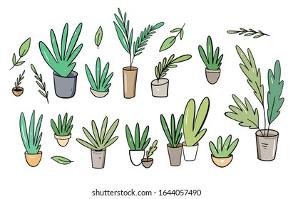Big set collection green plants in home pots. Vector illustration in cartoon style. Isolated on white background.