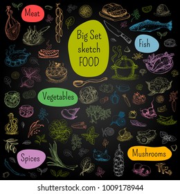 Big set of color chalk drawn. Food, blackboard background. Meat, fish, vegetables, mushrooms, spices. Hand drawn vector illustration.
