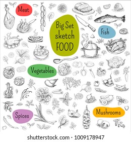 Big set of color chalk drawn. Food, blackboard background. Meat, fish, vegetables, mushrooms, spices. Hand drawn vector illustration.