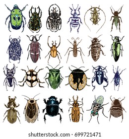 Big set of color insect stipple hand draw isolated. Colour insects and bugs collection in trendy embroidery stippling and hatching, shading style. Vector.