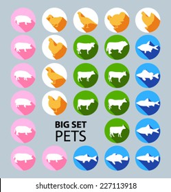 Big Set of colored icons for website and mobile application. Flat design. Vector. Editable. Pig, fish, cow, chicken.  Pets and food. 
