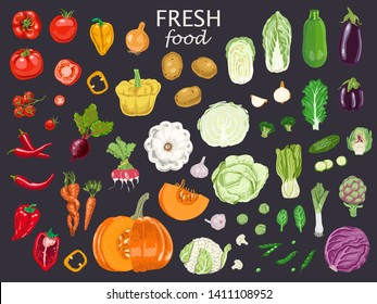 Big set of colored vegetables. Set of fresh vegetables for your design