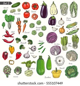 Big set of colored vegetables in sketch style.Vector illustration for your design