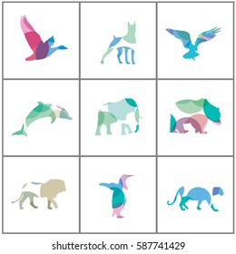 Big set of colorful Animal vector design.