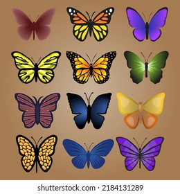 Big set of colorful butterflies. Silhouette. Vector illustration