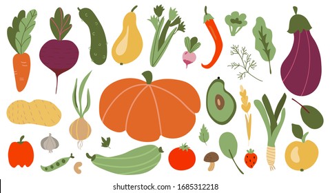 big set of colorful hand drawn fresh delicious vegetables isolated on white background. Flat cartoon vector illustration.