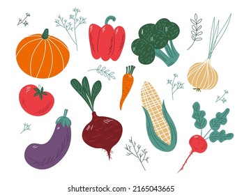 big set of colorful hand drawn fresh delicious vegetables isolated on white background. Flat cartoon vector illustration. EPS