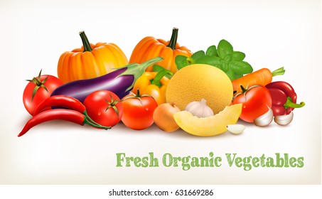 Big set of colorful vector vegetables. Vector illustration.