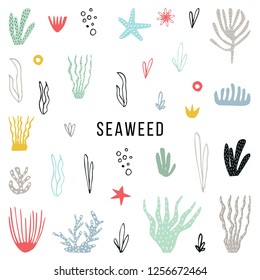 Big set of colorfull seaweed hand drawn and cut out of paper. Vector illustration.