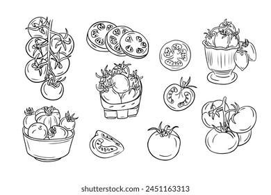 Conjunto grande de dibujos esquemáticos de contorno de tomates. Dibujos de contorno negro aislados sobre fondo blanco. Concepto amigable para veganos. Ideal para colorear páginas, tatuaje, patrón