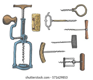 Big set of corkscrew in vintage old engraving style, hand drawn in scratchboard.