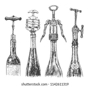 Big set of corkscrew in wine bottles. Vector hand drawn sketch. Opening bottles of red and white wine. Illustration, ink hand drawn style. Vintage engraving