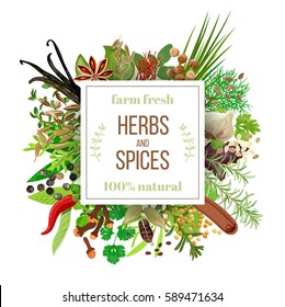 big set Culinary herbs and spices under squire emblem. Bunch of cooking seasonings. For cosmetics, cooking, restaurant, store, market, natural health care products. As logo, design element, tag, label
