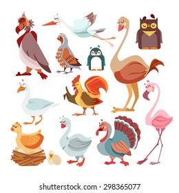 Big set of cute cartoon birds from around the world. Animals icons set.Stork,rooster,partridge,turkey,flamingo,goose,ostrich,owl,seagull,penguin. Vector illustration isolated on white background