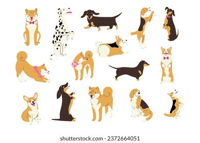 Gran conjunto con lindas razas de perros diferentes, corgi, beagle, Shiba inu, dachshund, Dalmatian. Ilustración vectorial aislada en diseño plano