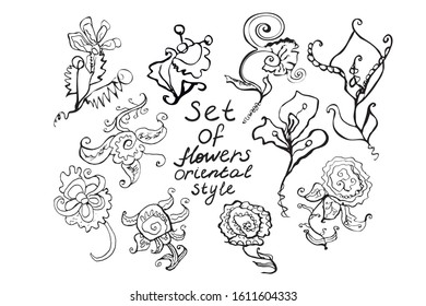Big set of cute doodle black flowers isolated on white hand drawn petals buds fancy curls oriental style different herbs for decoration and printing