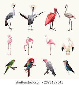 Big set of cute exotic birds  illustration.  Set of stickers, pins, patches and handwritten notes collection stikers kit.