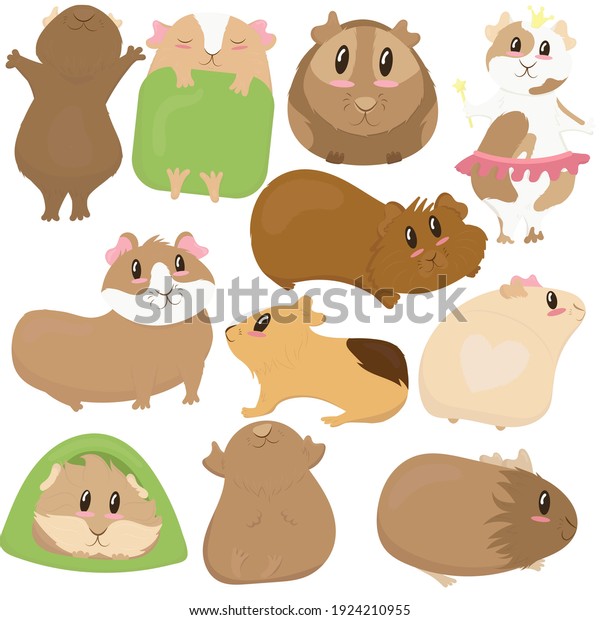 Big Set Cute Funny Guinea Pigs Stock Vector (Royalty Free) 1924210955