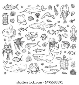 Big set of cute hand drawn marine animals, fish and shells. Vector outline background. May use as coloring page. 