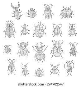 Big set of cute hand drawn ornamental beetles. Vector