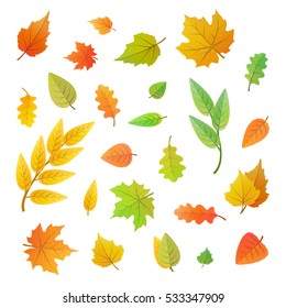 Big set of cute leaves from different kind of trees isolated on white