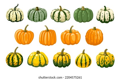 Gran juego de calabazas decorativas para la decoración de halloween y de acción de gracias. Cosecha otoñal. Ilustración vectorial dibujada a mano.