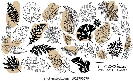 Big set of decorative tropical leaves. Hand drawing 