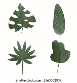 Big set of decorative watercolor green leaves, palm and monstera. Tree branches with leaves, vector illustration.