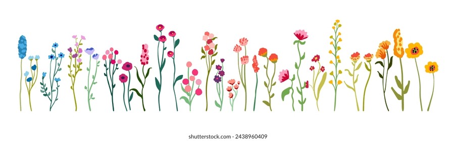 Big set of delicate graceful wildflowers on tall stems with foliage. Simple floral elements. Wild plants isolated on white background. Flat vector illustration.