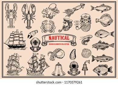Big set of design elements for nautical emblems, seafood restaurant. Vector illustration.