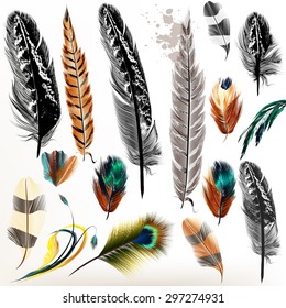 Big set of detailed bird feathers in realistic and engraved style