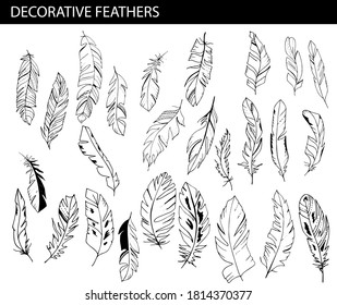 Big set with different black and white feathers