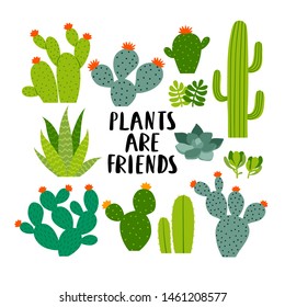 big set of different cacti and succulents on white background. Vector set of cactus and succulents illustration. Cacti stickers set