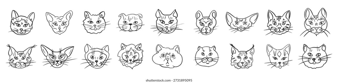 big set of different cats in vector doodle vector 