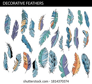 Big set with different colorful feathers
