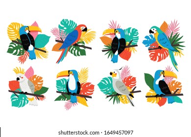 Big set with different colorful toucans and parrots with tropical leaves on white background. Summertime set with tropical birds. Vector toucans and parrots set