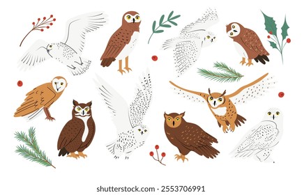 Big set with different cute owls in flat design. Night birds of prey collection. Hand drawn isolated on white vector illustrations