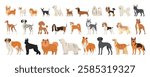 Big set of different dog breeds. Small, medium and large breeds. Flat collection of adult animals