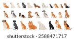 Big set of different dog breeds. Pets sitting. Small, medium and large breeds. Flat collection of adult animals