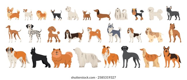 Big set of different dog breeds. Small, medium and large breeds. Flat collection of adult animals