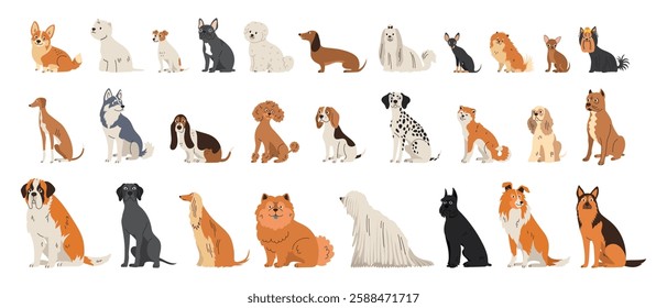 Big set of different dog breeds. Pets sitting. Small, medium and large breeds. Flat collection of adult animals