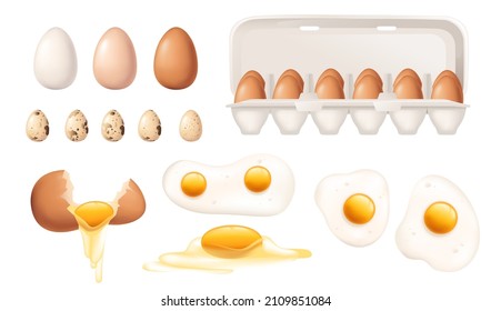 Big set of different eggs vector illustration on white background