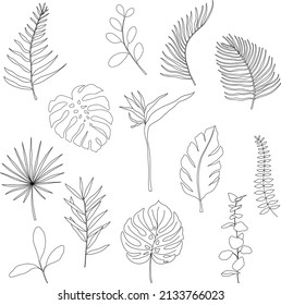 Big set of different exotic handdraw contour line tropical leaves. Vector isolated on white background. 