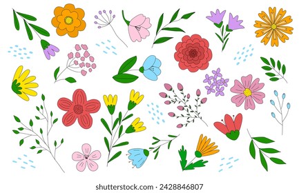 Big set with different flowers and leaves, spring design elements, doodle style vector