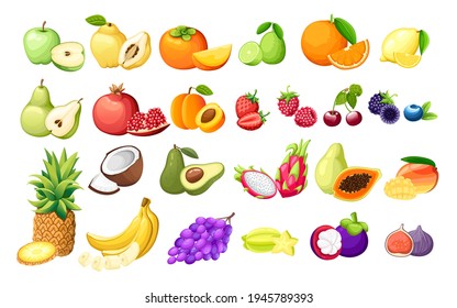 Big set of different fruits exotic fruits and berries vector illustration on white background