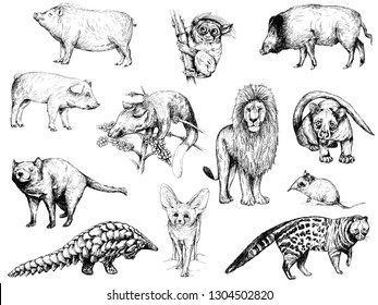 Big set of different hand drawn sketch style animals isolated on white background. Vector illustration.